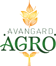 partner-06